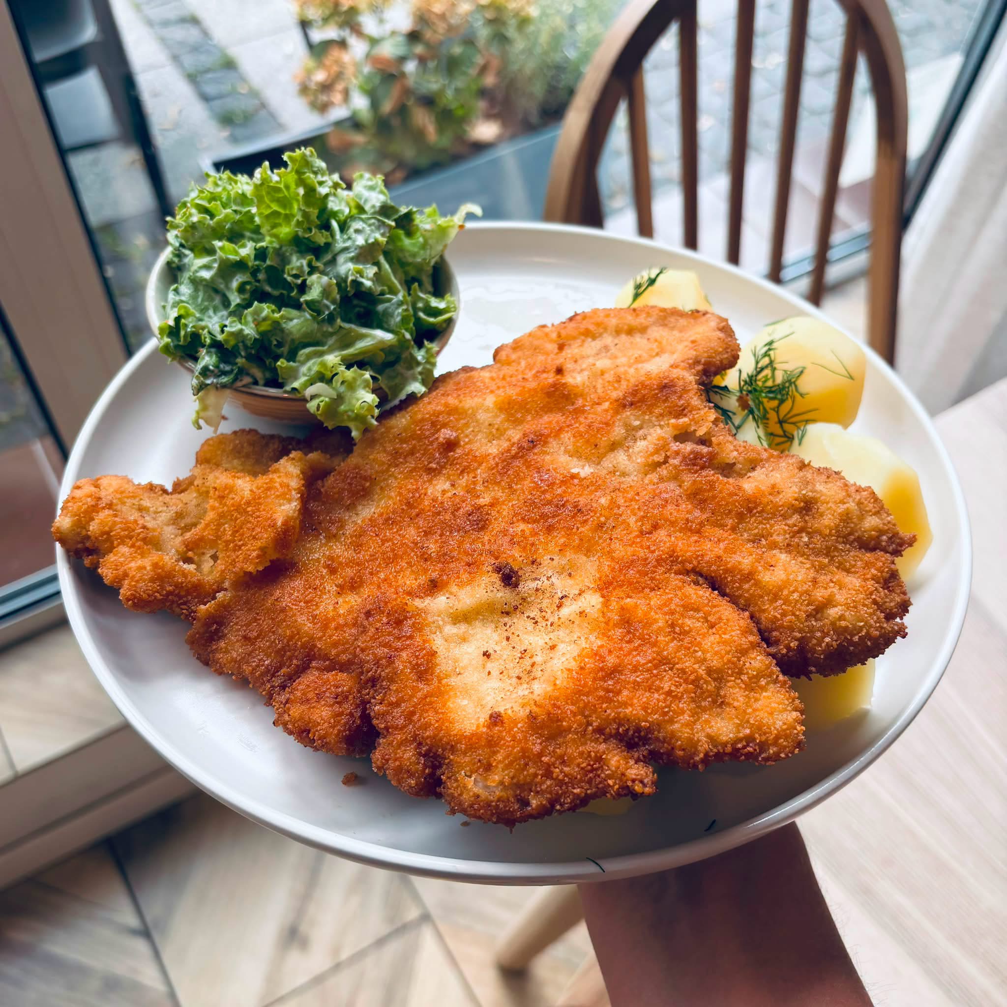 Schab tradycyjny
